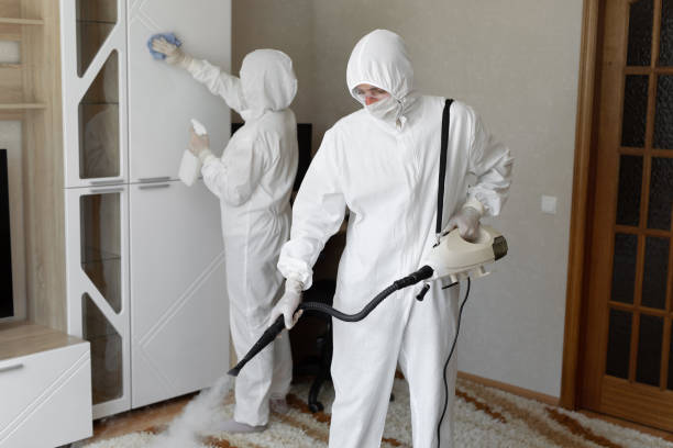 Best Industrial Mold Remediation in Columbia, MO